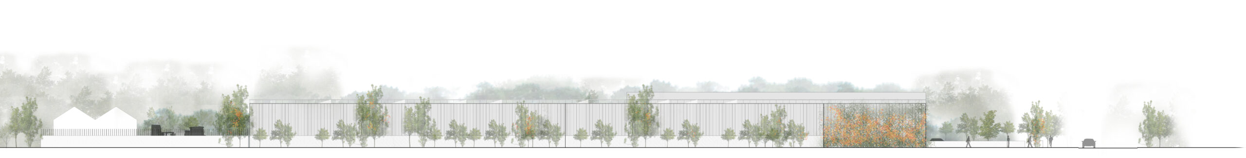 Elevation n2 /