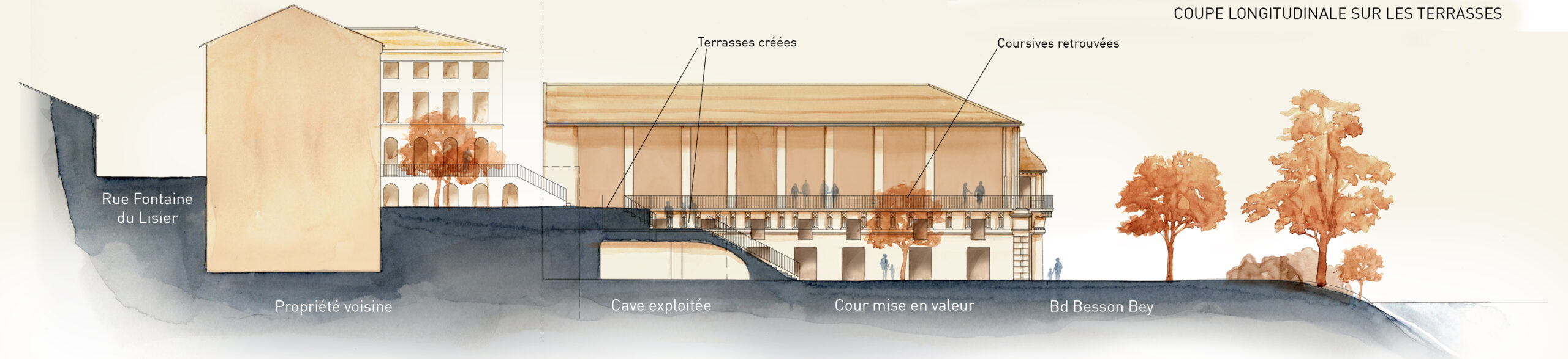Ecole 42 - Coupe longitudinale / Atelier du trait / Bea Toa
