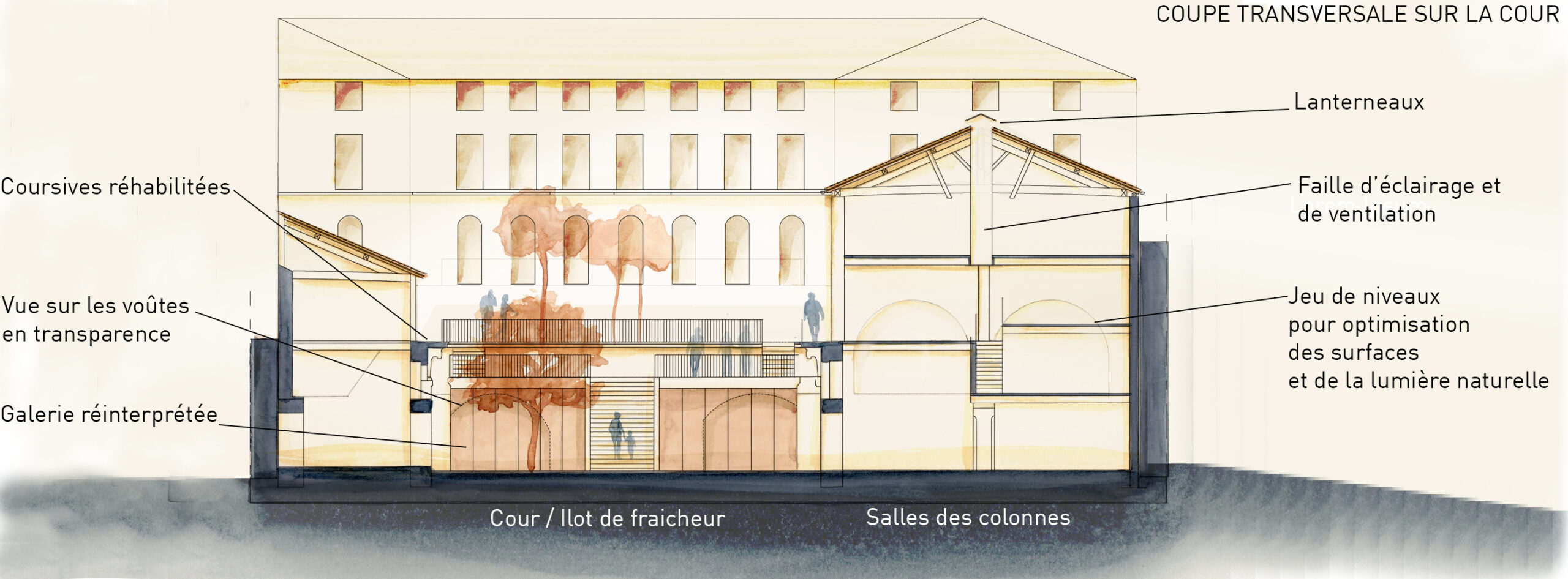 Ecole 42 - Coupe transversale / Atelier du trait / Bea Toa