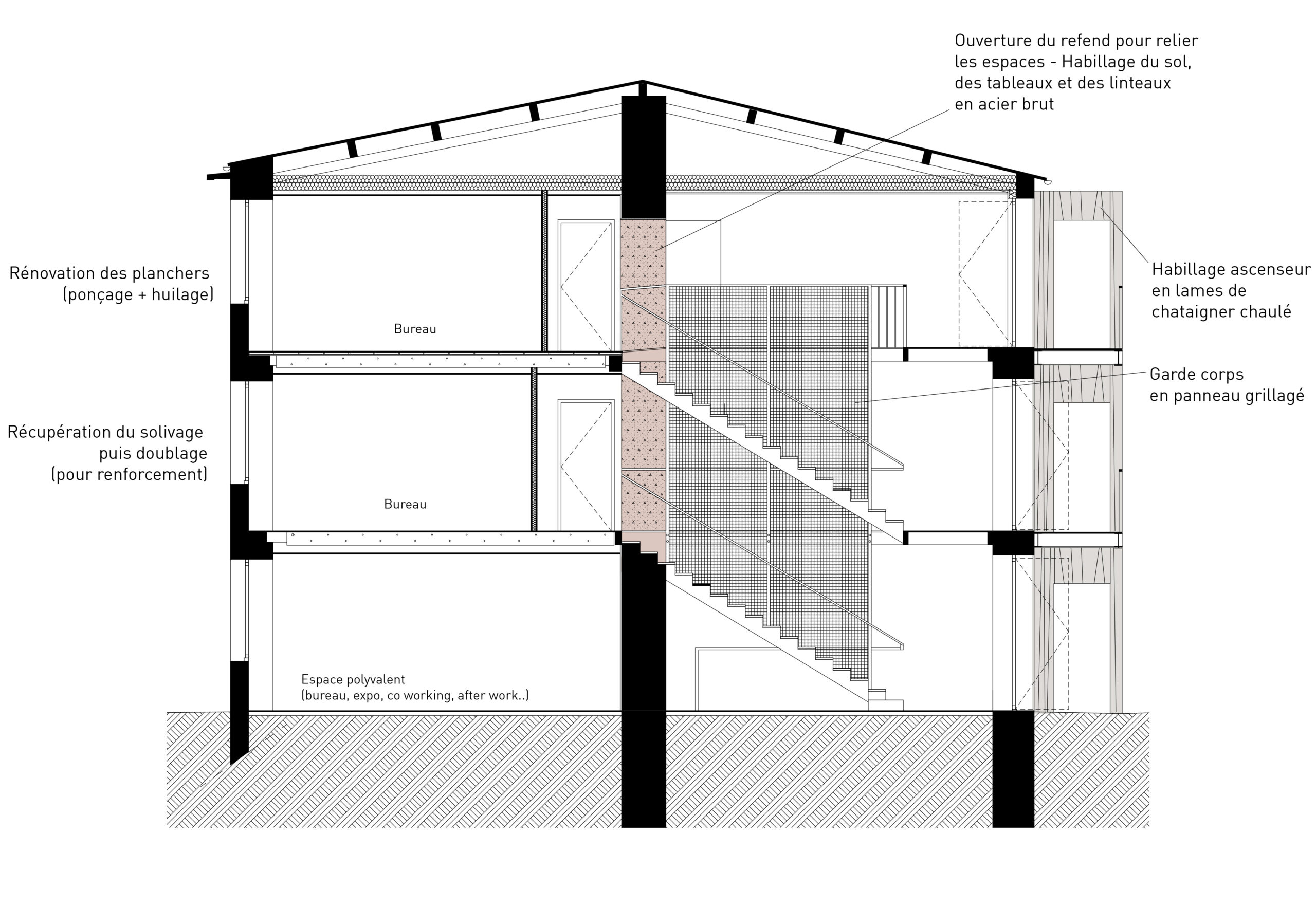 Coupe / Atelier du trait